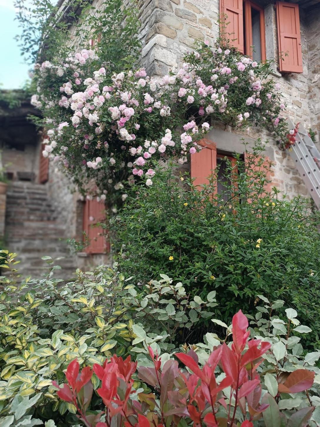 Pilgrim Rooms 구비오 외부 사진